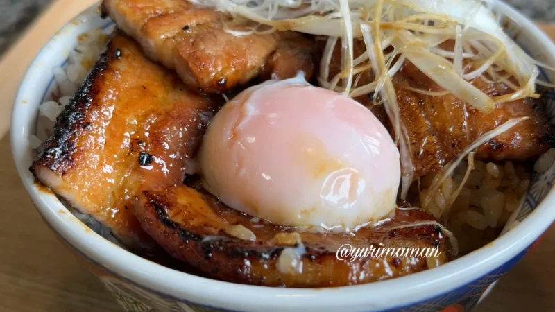 元祖豚丼屋TONTON新居浜店_豚丼4