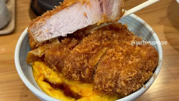 とんかつ丸七愛媛店西予市_焼きカツ丼まとめ