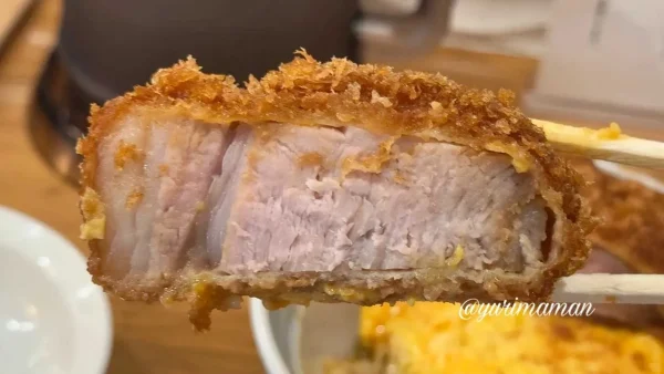 とんかつ丸七の焼きカツ丼｜西予市ランチ3