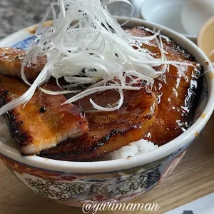 元祖豚丼屋TONTON新居浜店_サムネイル画像