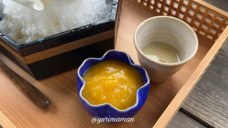 ごごしまパーキング_興居島カフェ_かき氷2