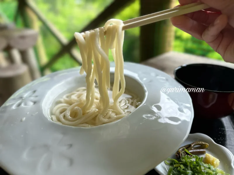 こぶし食堂砥部町_うどん2