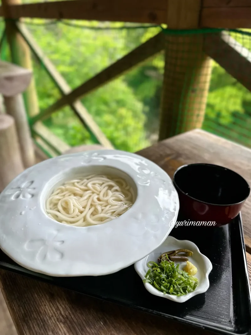 こぶし食堂砥部町_うどん1