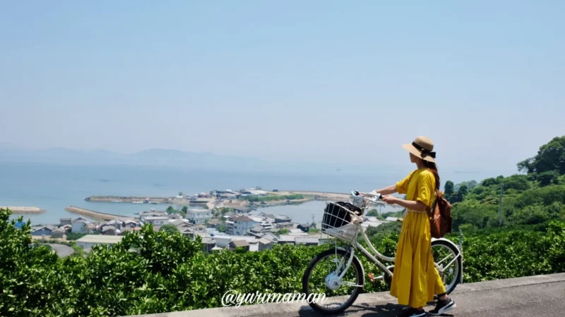 興居島レンタサイクル