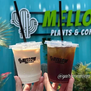 MELLOWPLANTSANDCOFFEE_サムネイル画像