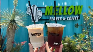 MELLOWPLANTSANDCOFFEE_サムネイル画像