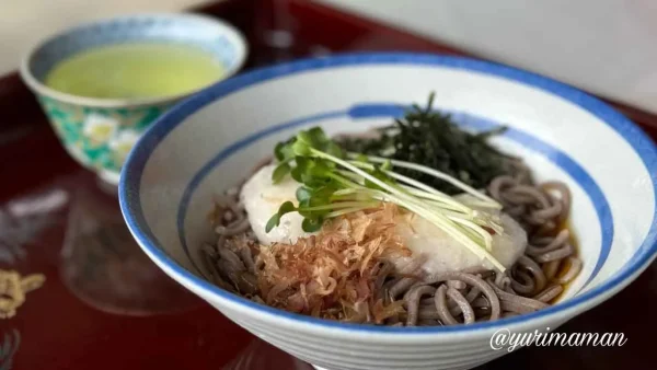 あじさい茶屋で食べた山かけそば