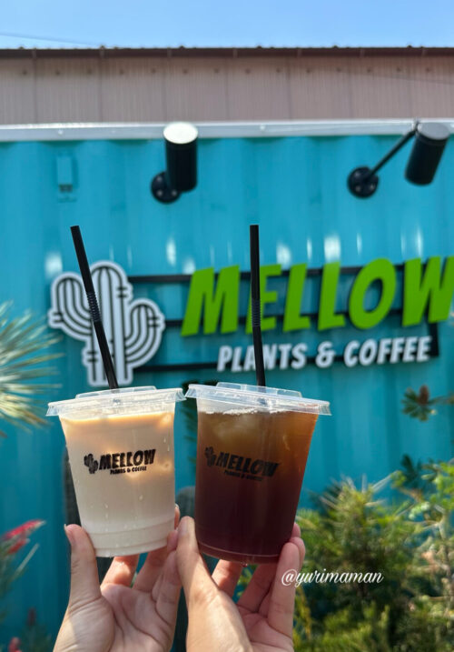 MELLOW_Plants_and_Coffee_ドリンク1