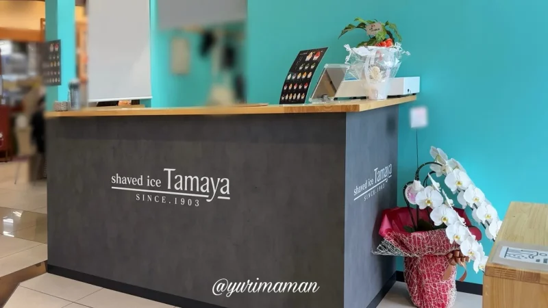 Tamayaフジ藤原店_内観写真1