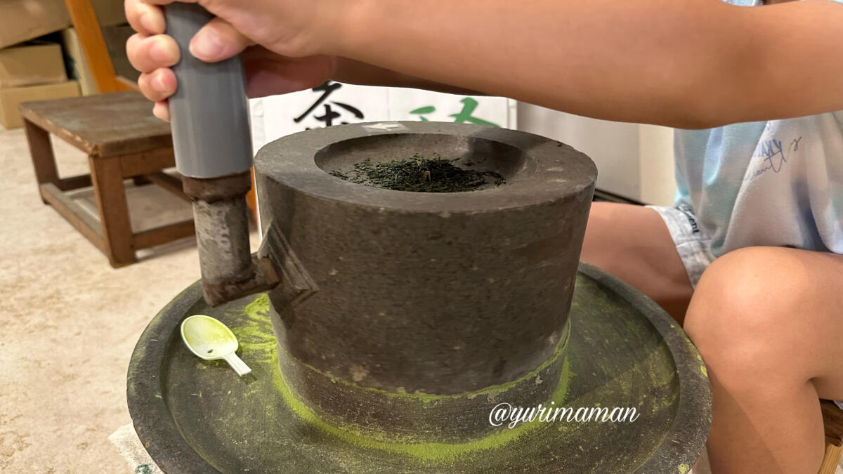 抹茶作り体験_脇製茶場