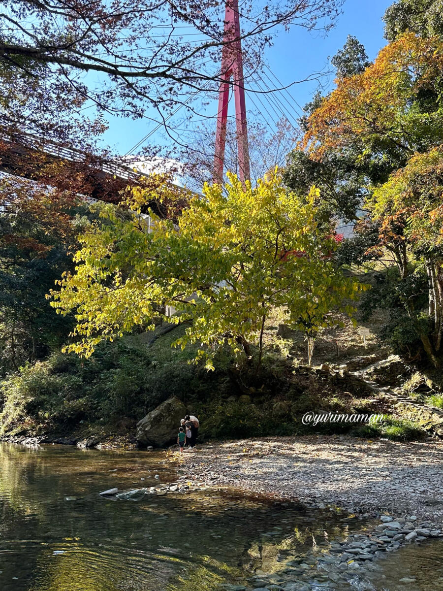 霧の森川遊び