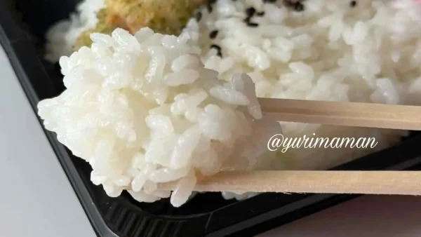めおと弁当しおたにはご飯がおいしい