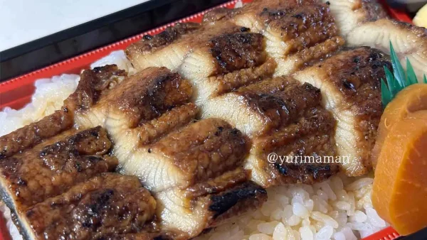 めおと弁当しおたに_鰻うなぎ