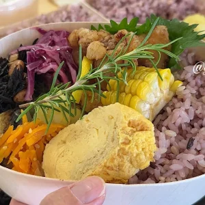 たゆむ_松山お弁当_サムネイル画像