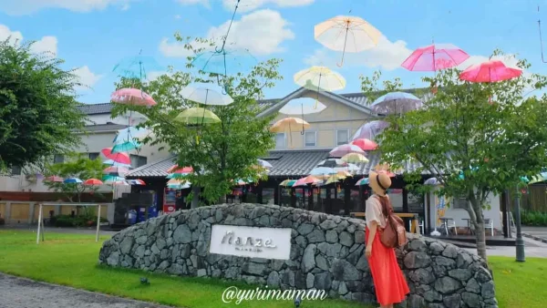 内子町アンブレラスカイ2025｜Nanzeに並ぶカラフルな傘の風景2