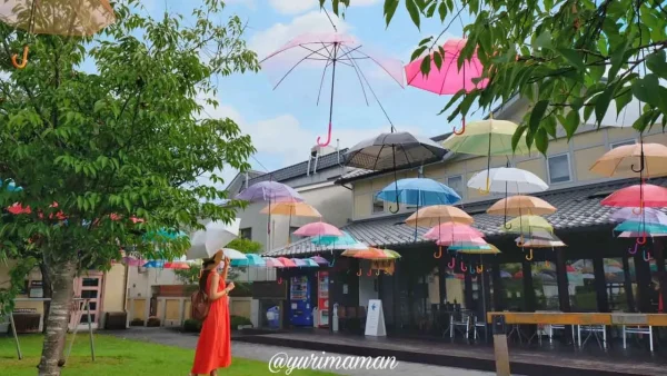 内子町アンブレラスカイ2025｜Nanzeに並ぶカラフルな傘の風景5