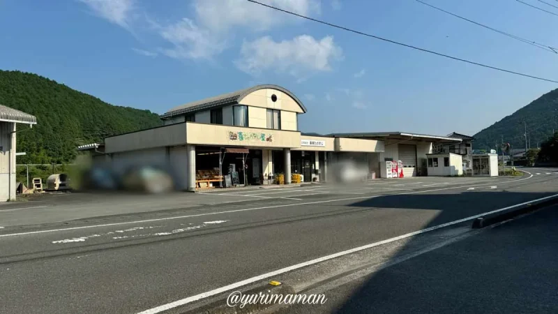 田之筋地区のひまわり畑_西予市_駐車場