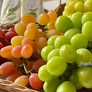 ぶどう園tubu東温市_サムネイル画像