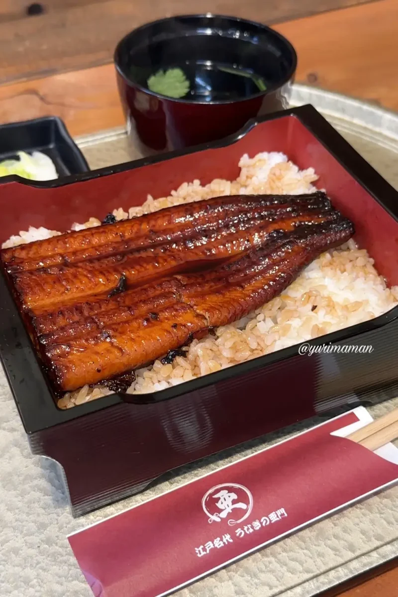 うなぎ屋江戸名代亜門松山店_鰻重並1