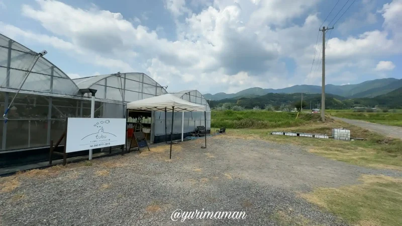 ぶどう園tubu東温市_駐車場