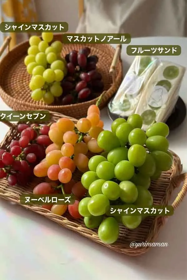 東温市ぶどう園tubuのシャインマスカットを食べ比べ