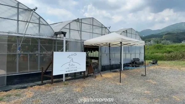 東温市ぶどう園tubuの直売所の様子