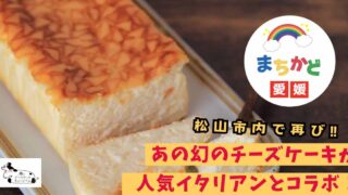 イタリア食堂ziziと噂のチーズケーキミュージアムコラボ_サムネイル画像