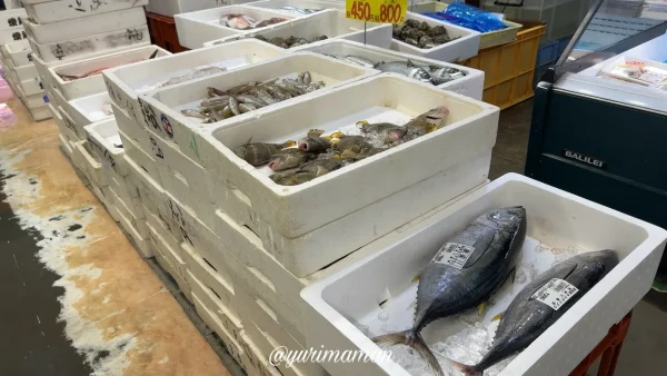 生鮮市場まるひろ_鮮魚コーナーのトロ箱