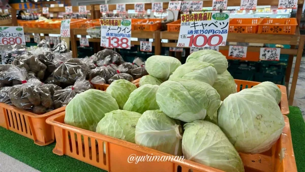 生鮮市場まるひろ_本日の特売品