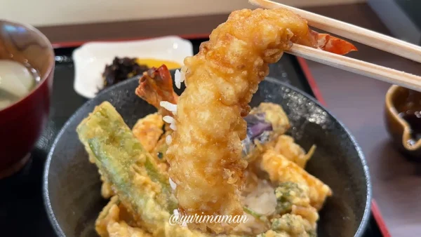 ピリカのんの_天丼ランチ2