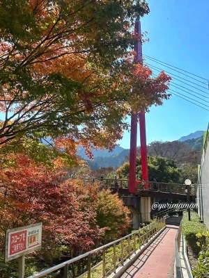 霧の森秋の収穫祭1