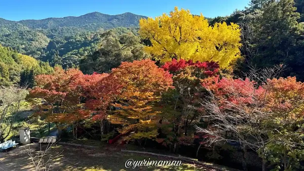 八幡浜市の大元神社_見晴らし台からの眺め1