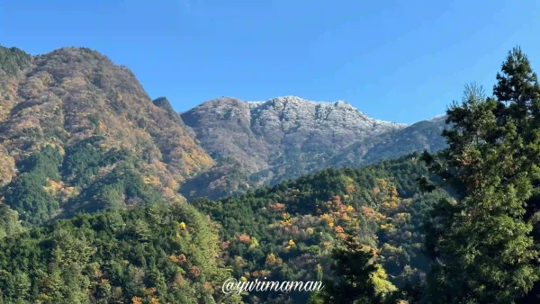 別子・翠波はな街道の紅葉ドライブ