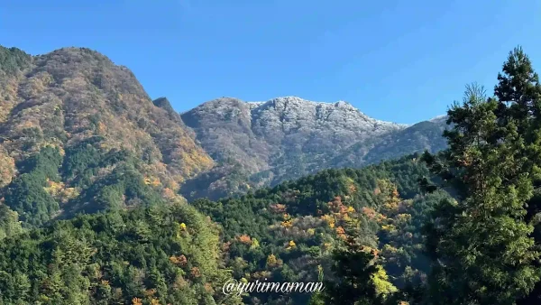 別子・翠波はな街道の紅葉ドライブ - ゆりママんブログ 別子・翠波はな街道の紅葉ドライブ