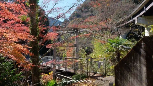 別子山ふるさと館周辺_吊り橋