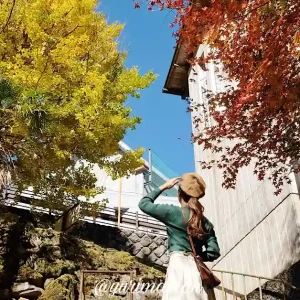 別子山ふるさと館周辺の紅葉_サムネイル画像