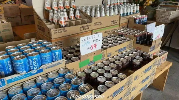 エコイート松山の内観写真_激安商品が並ぶ1