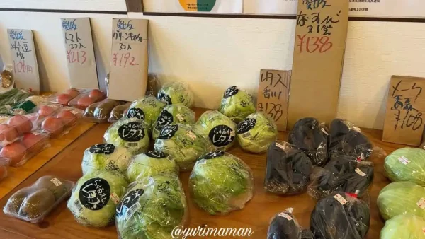 ecoeat松山店_店内_野菜1