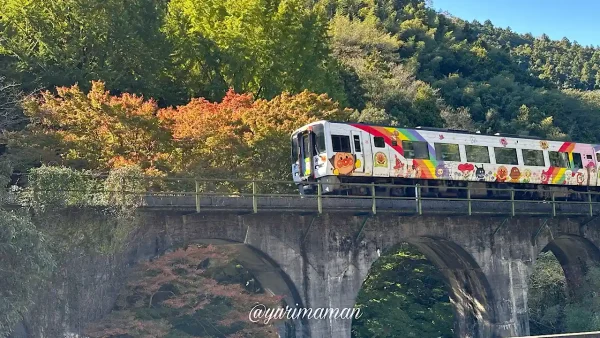 八幡浜市の夫婦岩の紅葉とアンパンマン列車