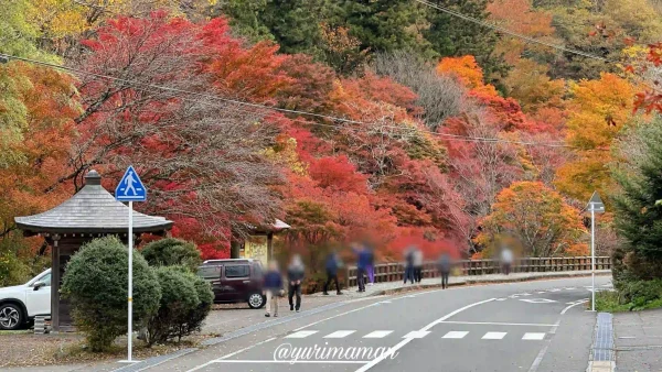 久万高原町古岩屋紅葉