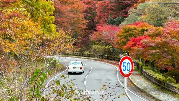 古岩屋の紅葉（久万高原町）2