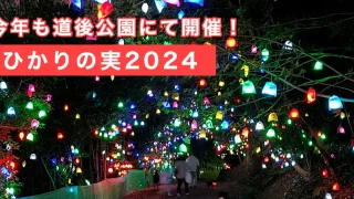 2024年の道後公園「ひかりの実」サムネイル画像