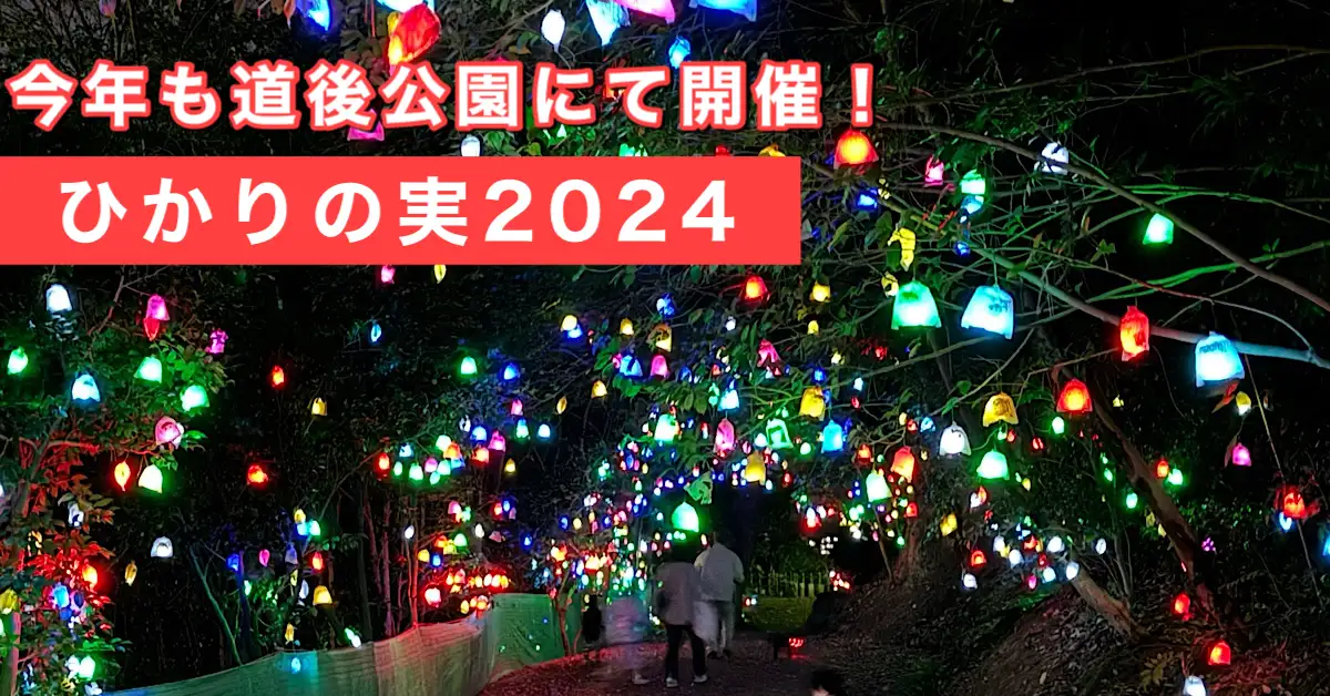 2024年の道後公園「ひかりの実」サムネイル画像