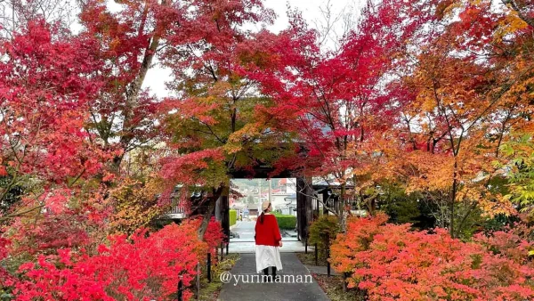 久万高原町法然寺の紅葉2 - ゆりママんブログ 久万高原町法然寺の紅葉2