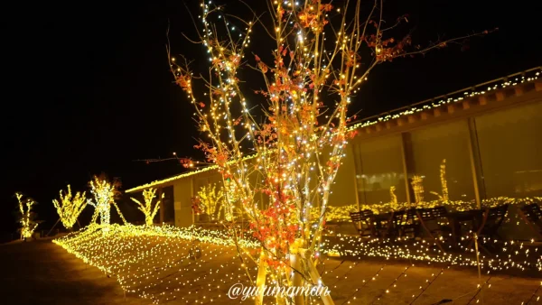 いとまちマルシェイルミネーション2025（西条市）2