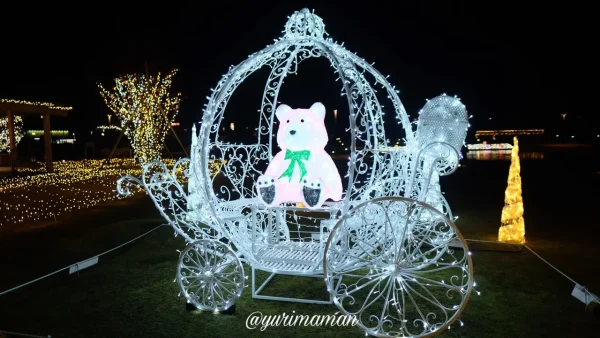 いとまちマルシェイルミネーション2025（西条市）5