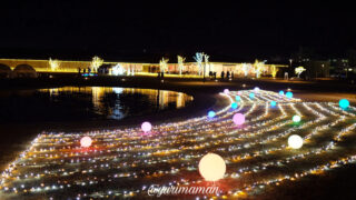 いとまちマルシェイルミネーション2025（西条市）サムネイル画像