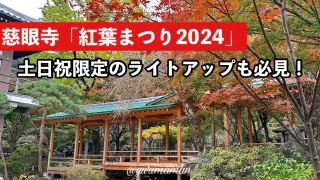 慈眼寺_紅葉まつり2024_新居浜_サムネイル画像