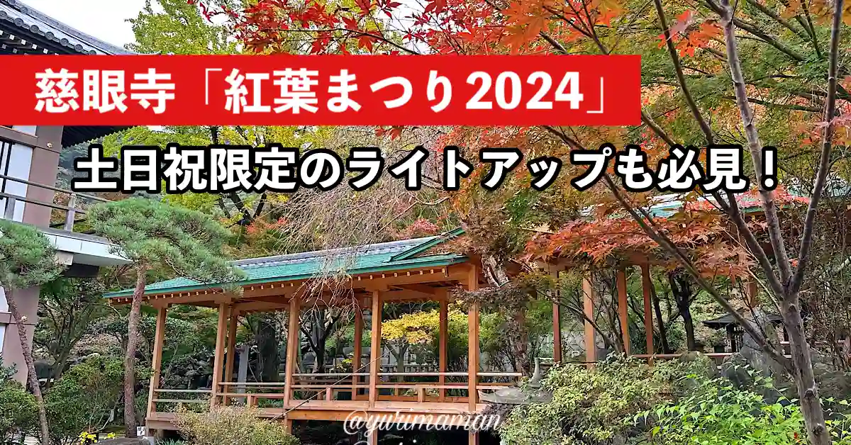 慈眼寺_紅葉まつり2024_新居浜_サムネイル画像