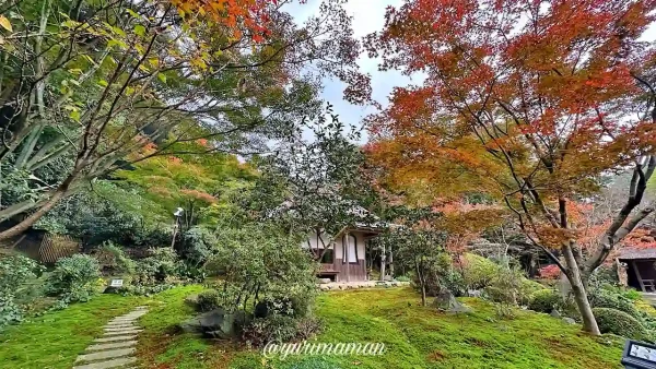 新居浜市・慈眼寺の苔庭と鮮やかな紅葉が織りなす美しい秋の風景